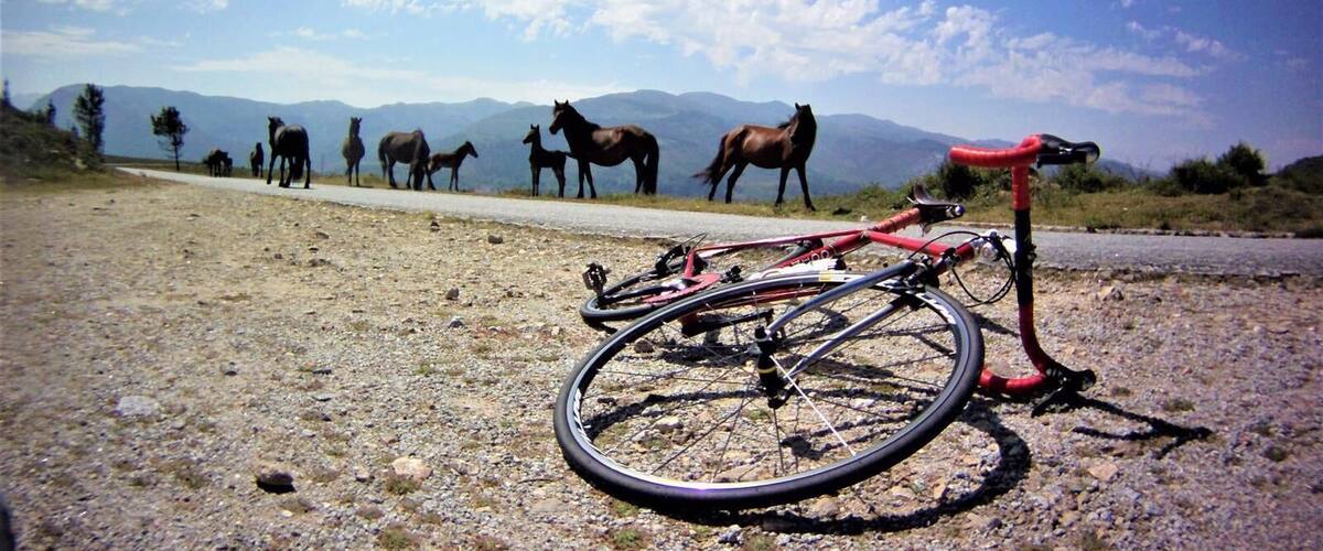 A bicycle on a gravel path with horses in the background and mountains in the distance.