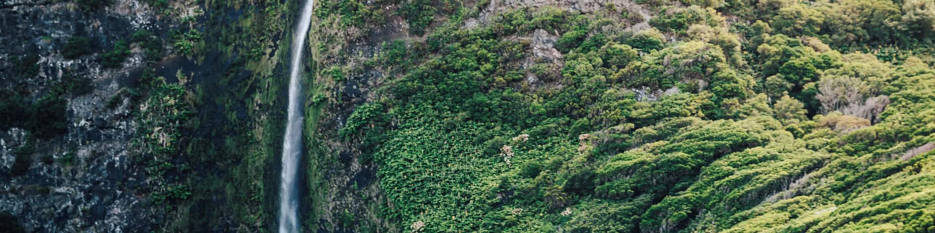 A waterfall cascading down a rocky cliff, surrounded by lush greenery and a stone house.