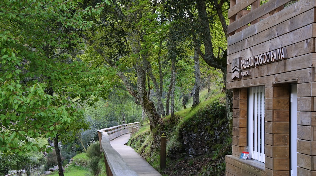 The Paiva Walkway is a unique place to visit. Engineering in harmony with nature. You can enter the trail both ends, it will cost you only a 1€ and you can book your ticket via their website. Just search in Google for Passadiços de Paiva.
It is 8.7km long trail and most of the times you will walk on wooden walkway as you can see on the picture. Keep in mind that there are 450 steps upwards and 300 downwards included too 😎
#portugal #hike #walk #outdoor #walkway #paivariver #nature