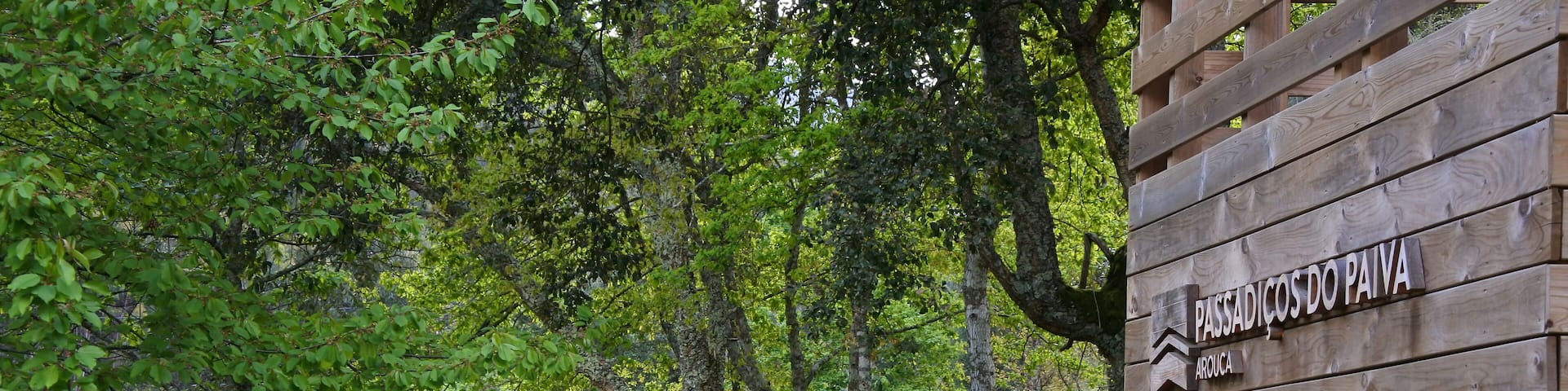 The Paiva Walkway is a unique place to visit. Engineering in harmony with nature. You can enter the trail both ends, it will cost you only a 1⏠and you can book your ticket via their website. Just search in Google for Passadiços de Paiva.
It is 8.7km long trail and most of the times you will walk on wooden walkway as you can see on the picture. Keep in mind that there are 450 steps upwards and 300 downwards included too đ
#portugal #hike #walk #outdoor #walkway #paivariver #nature