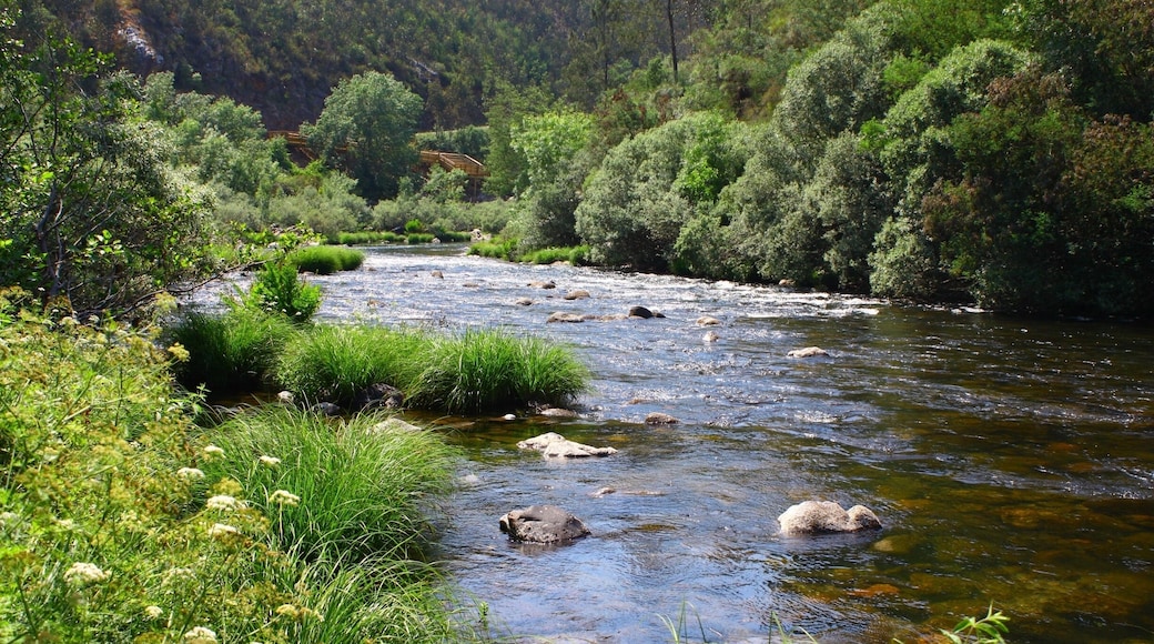 Espiunca is a small village in Rio Paiva (Paiva River).
A new wooden walkway is almost ready which will take us for a 10km walk along the river banks or you can adventure in one of the few paths along the mountain.
Some river beaches can be found and used :-)
There's nothing around: just the sound of the river and the sound of Nature!
Portugal
