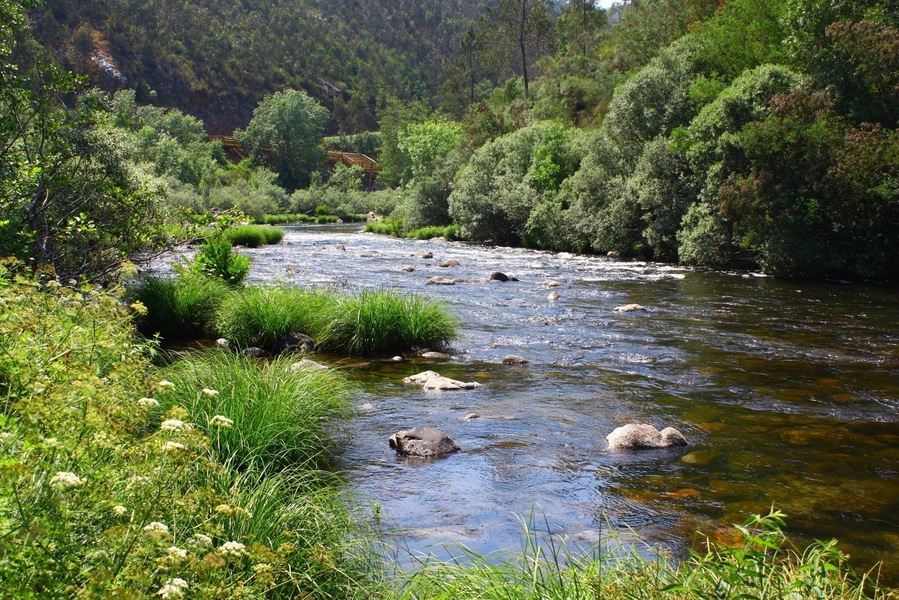 Espiunca is a small village in Rio Paiva (Paiva River).
A new wooden walkway is almost ready which will take us for a 10km walk along the river banks or you can adventure in one of the few paths along the mountain.
Some river beaches can be found and used :-)
There's nothing around: just the sound of the river and the sound of Nature!
Portugal