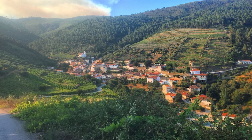 The Douro is a trip worth seeing in Portugal. Fantastic views and beautiful drives.