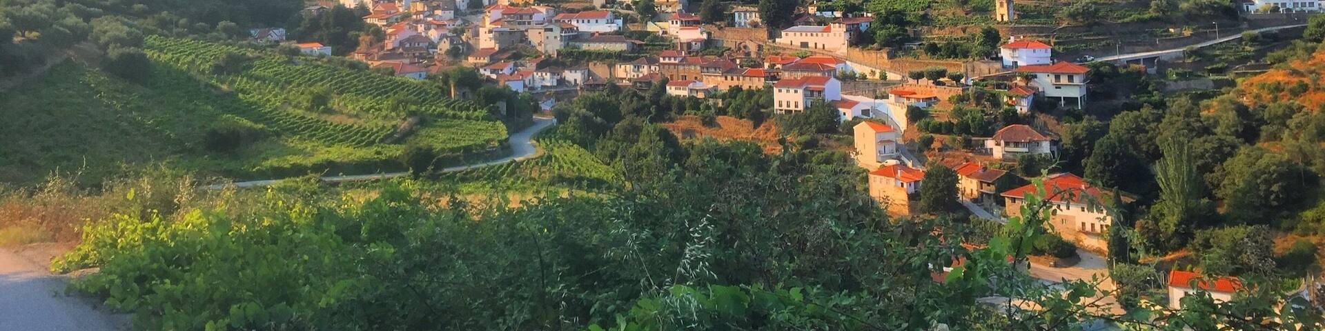 The Douro is a trip worth seeing in Portugal. Fantastic views and beautiful drives.