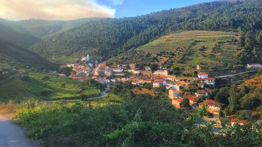 The Douro is a trip worth seeing in Portugal. Fantastic views and beautiful drives.
