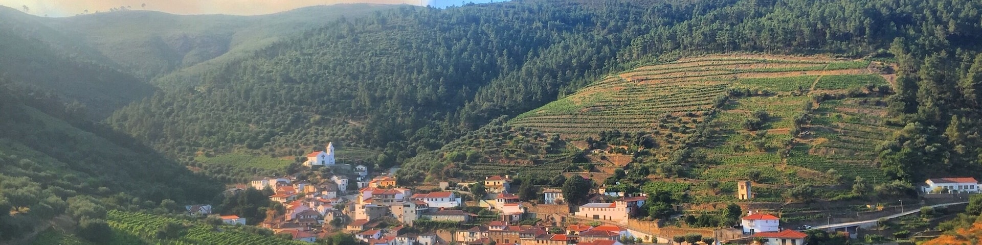 The Douro is a trip worth seeing in Portugal. Fantastic views and beautiful drives.