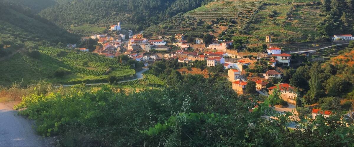 A hillside village with terraced vineyards and a prominent church.
