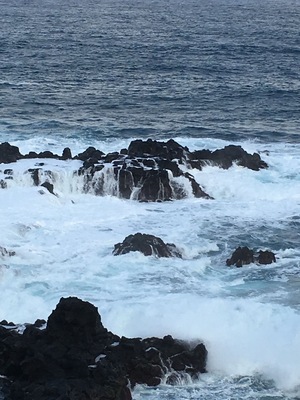 Crazy wind and waves this morning. Took this from the trail along the cliffs