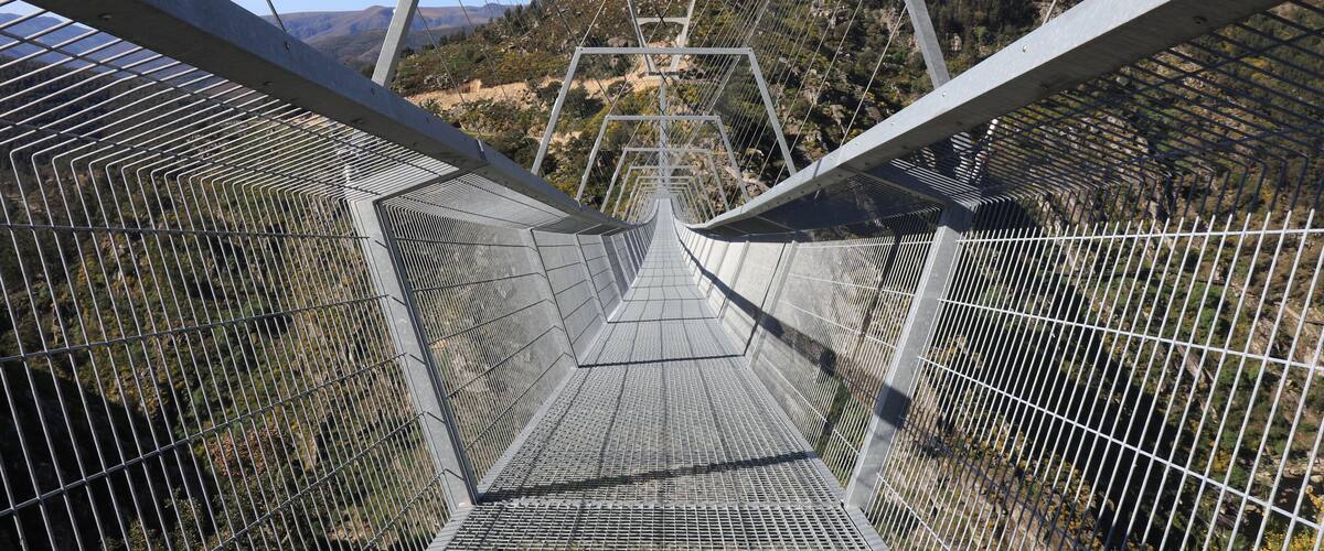 Ponte suspensa 516