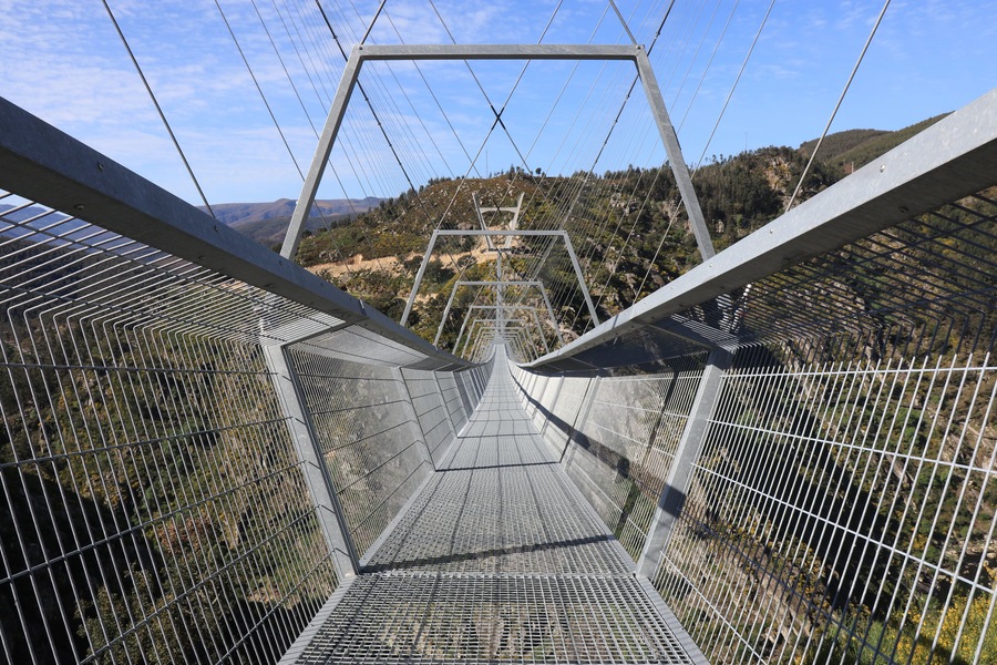 Ponte suspensa 516