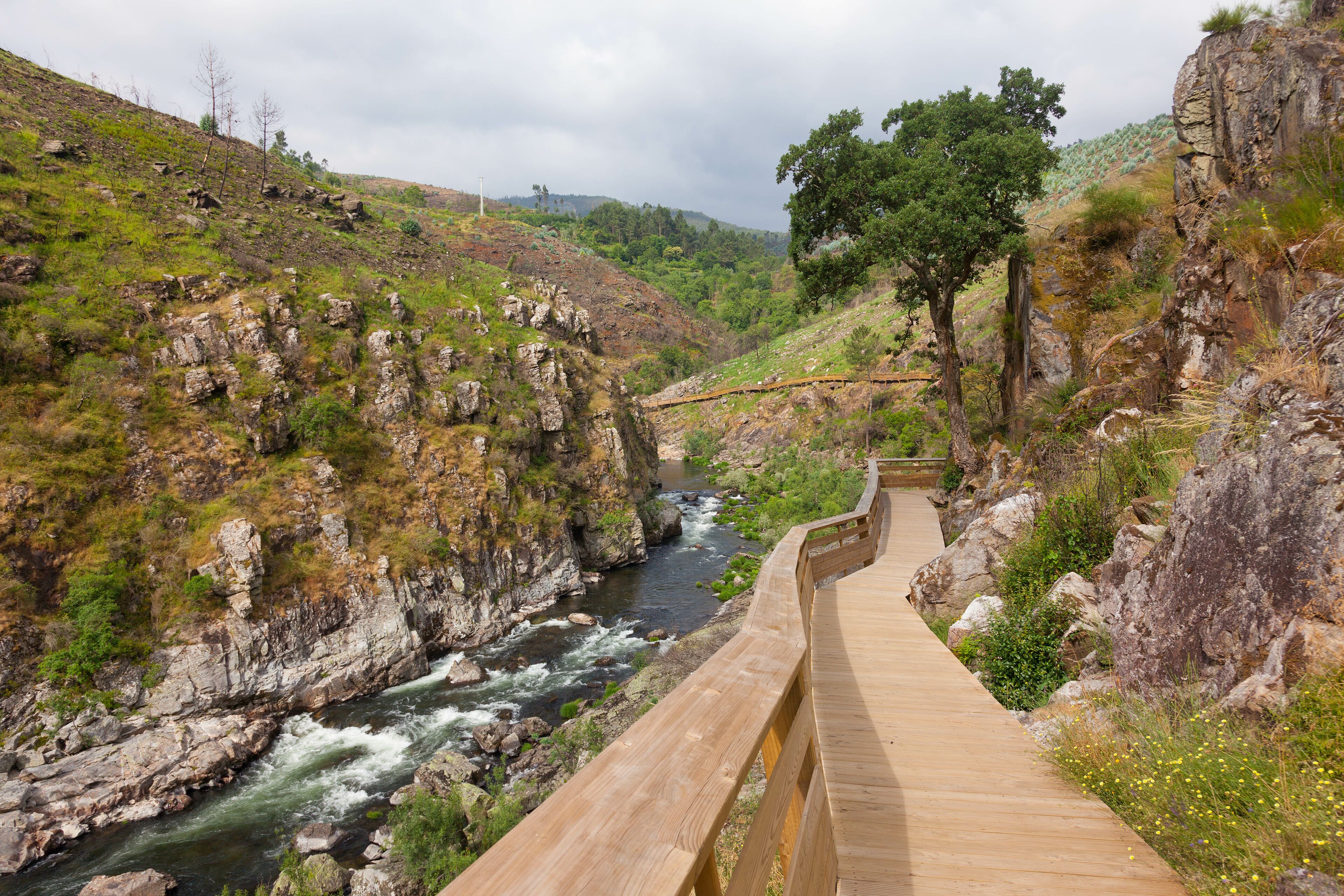 Walkways in the valley of Paiva river, Arouca municipality, Aveiro - Portugal