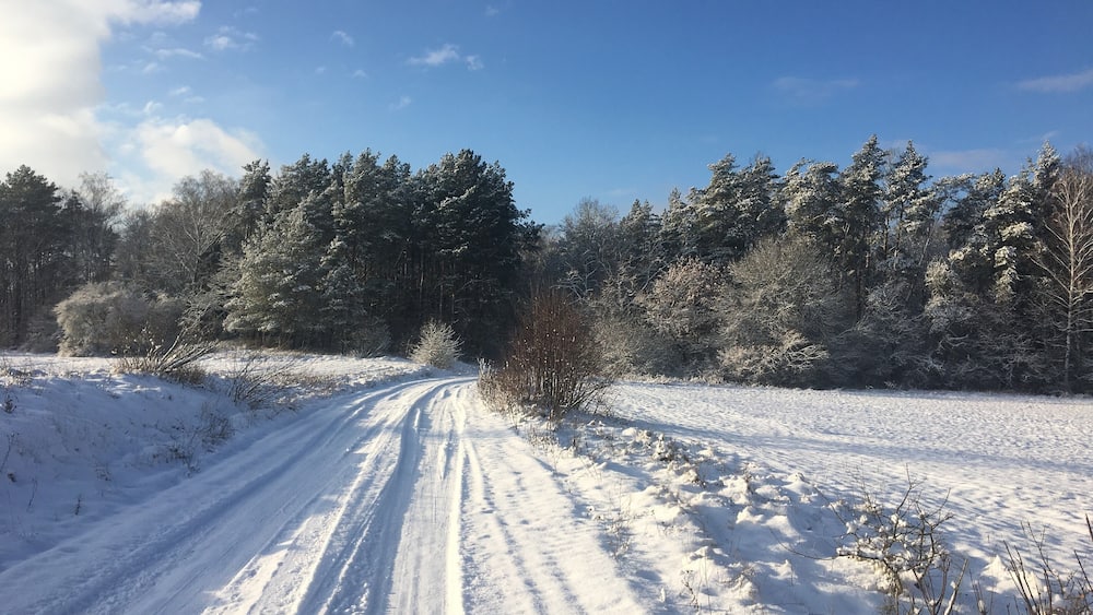A walk in the Bialowieza Forest in Poland's pristine region Podlasie. Part of primeval forest that dates back 4500 years.
Good place to practice Nordic walking or meditation - for hours you will meet no one but elks and wild boars. The temperatures can drop down to -25C, but you will also get lots of sun on your face!
#LifeAtExpediaGroup