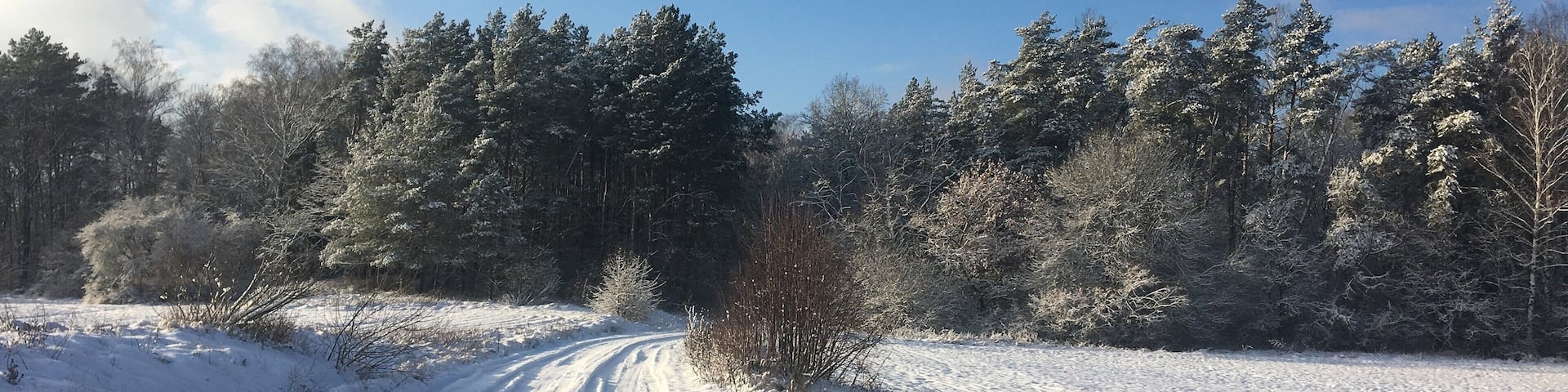 A walk in the Bialowieza Forest in Poland's pristine region Podlasie. Part of primeval forest that dates back 4500 years.
Good place to practice Nordic walking or meditation - for hours you will meet no one but elks and wild boars. The temperatures can drop down to -25C, but you will also get lots of sun on your face!
#LifeAtExpediaGroup
