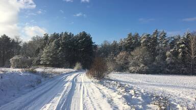 A walk in the Bialowieza Forest in Poland's pristine region Podlasie. Part of primeval forest that dates back 4500 years.
Good place to practice Nordic walking or meditation - for hours you will meet no one but elks and wild boars. The temperatures can drop down to -25C, but you will also get lots of sun on your face!
#LifeAtExpediaGroup