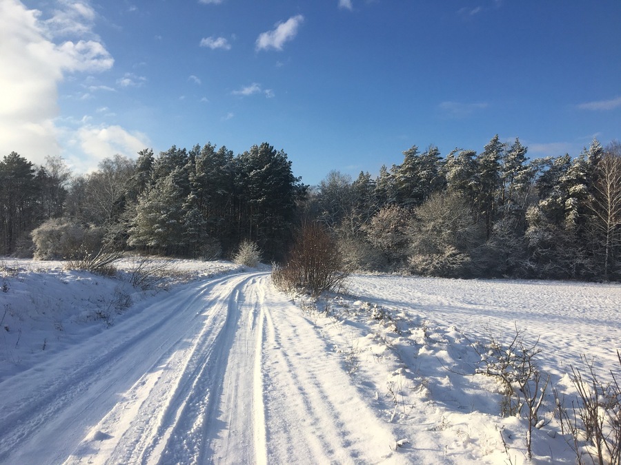 A walk in the Bialowieza Forest in Poland's pristine region Podlasie. Part of primeval forest that dates back 4500 years.
Good place to practice Nordic walking or meditation - for hours you will meet no one but elks and wild boars. The temperatures can drop down to -25C, but you will also get lots of sun on your face!
#LifeAtExpediaGroup
