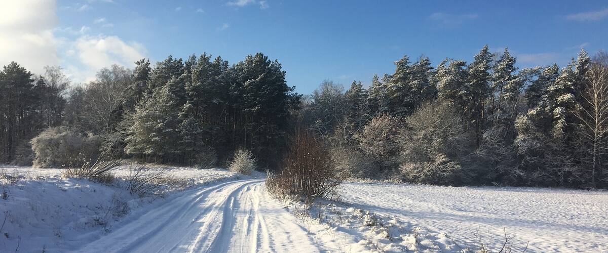 A snow-covered road winding through a forest.