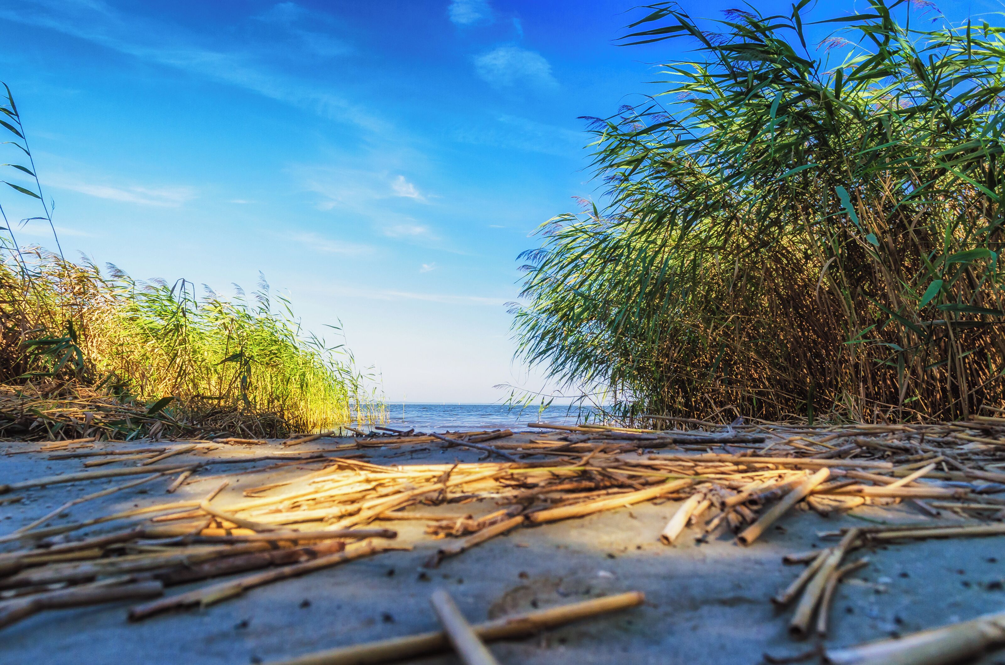 This is a photography of Natura 2000 protected area with ID