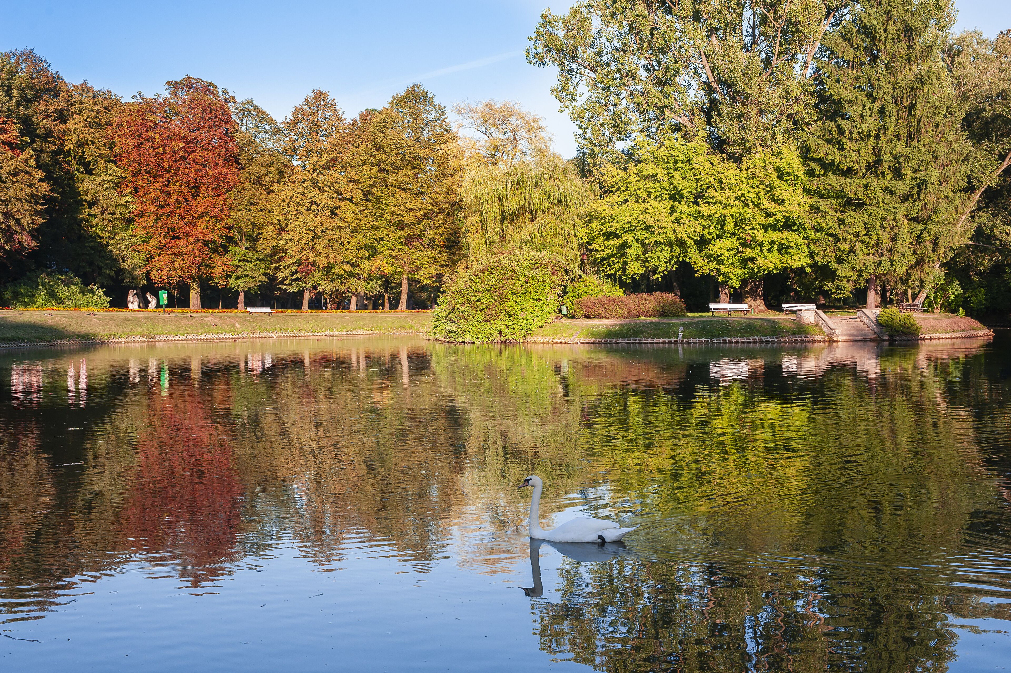 Pond in the park. Autumn day in Naleczow, Poland