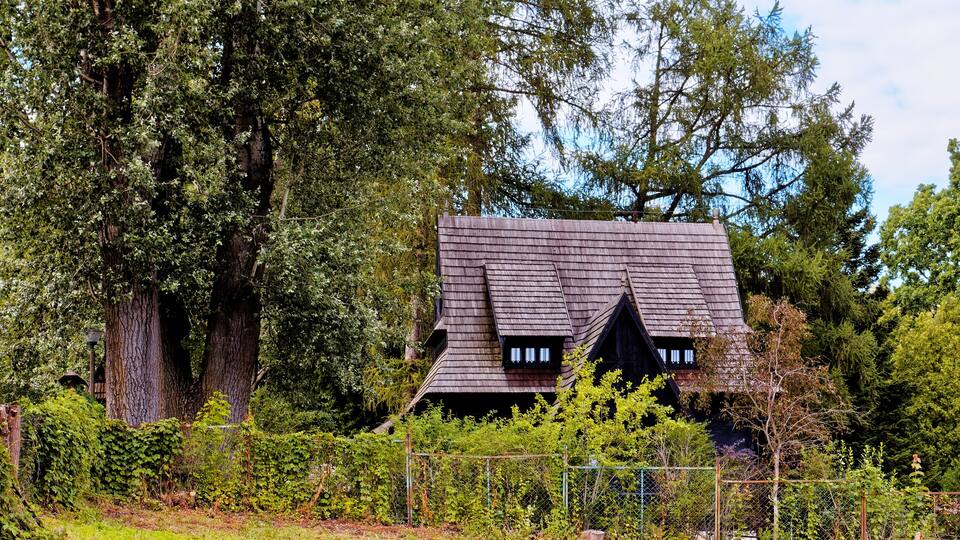 A house with a steeply pitched roof surrounded by dense trees.