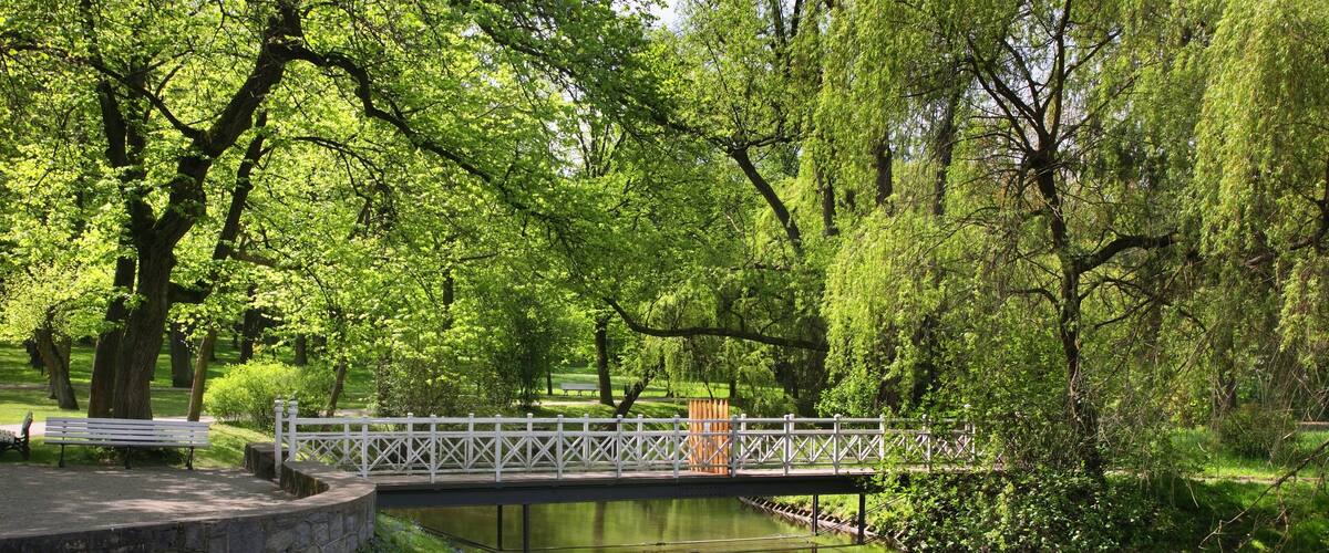 A stone bridge over a calm river, surrounded by lush greenery and trees.