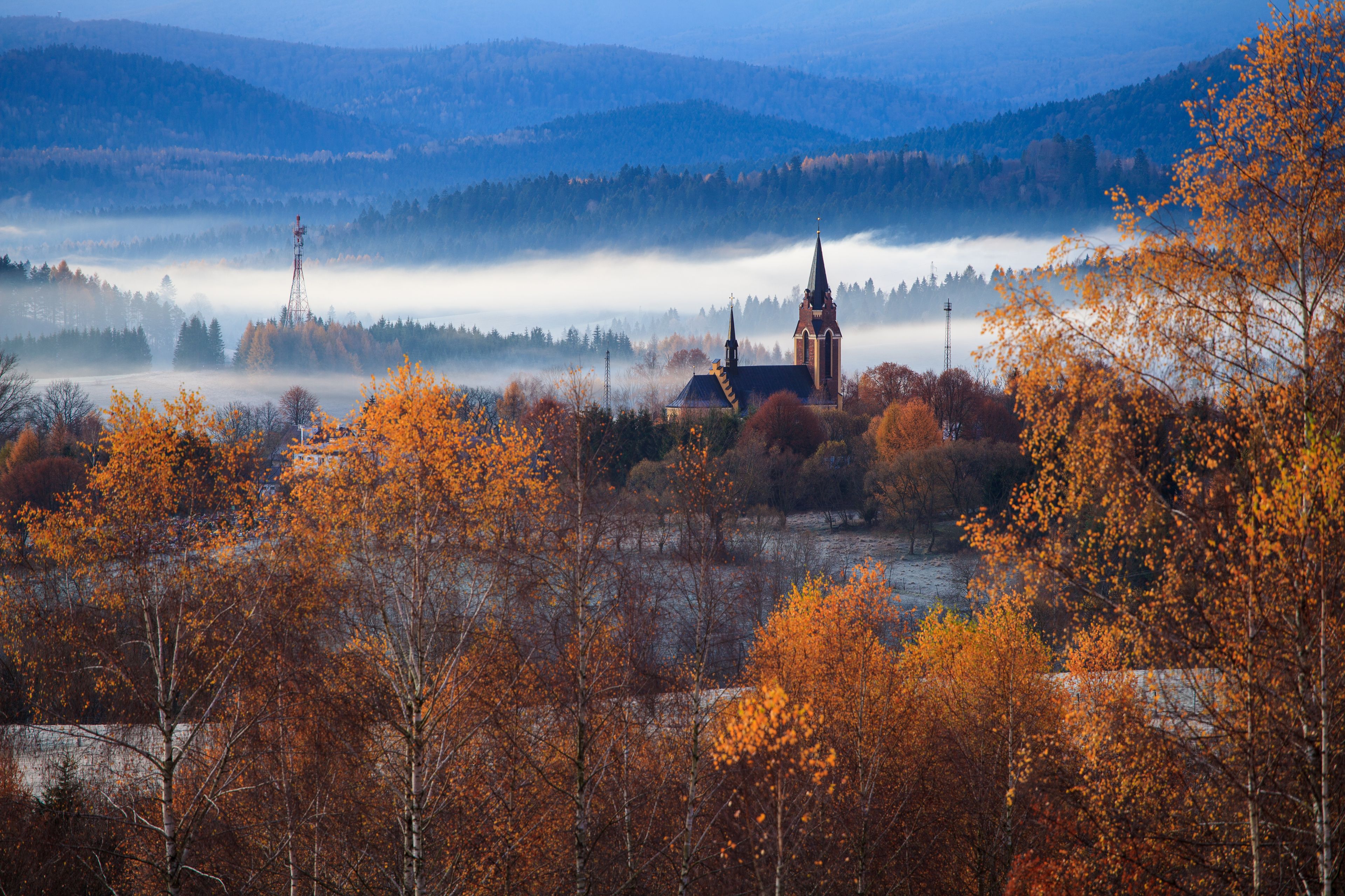 Lutowiska