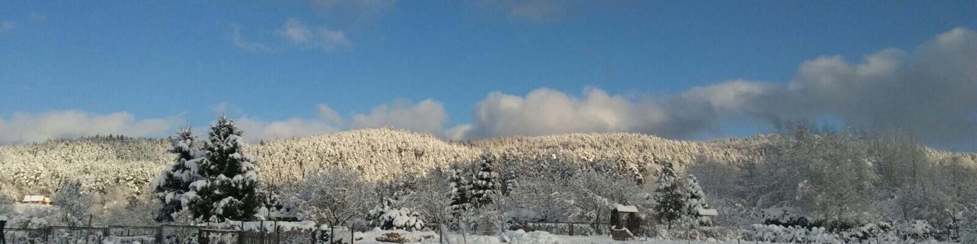 Bieszczady mountains in Poland the most natural place in Poland even in Europe, No galleries, Wild nature, natural food, silent, in this place you can feel like 100 years ago