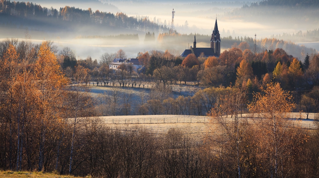 Lutowiska