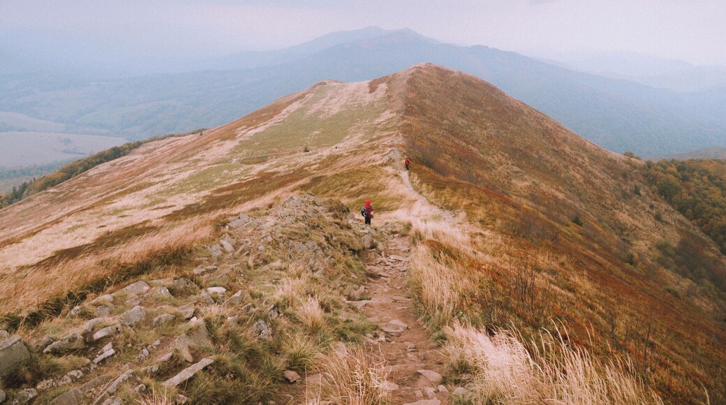 Polonina Carynska is one of the best peaks of Bieszczady Mountains, Poland.