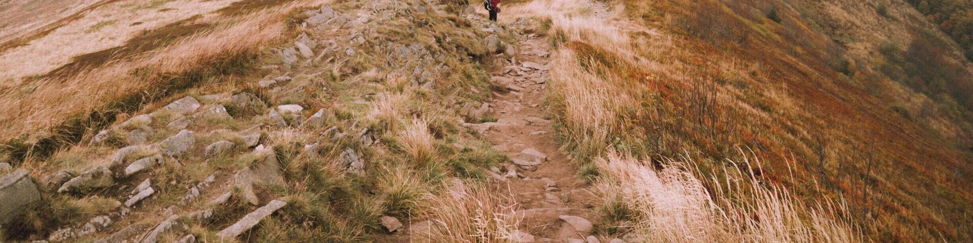 Polonina Carynska is one of the best peaks of Bieszczady Mountains, Poland.