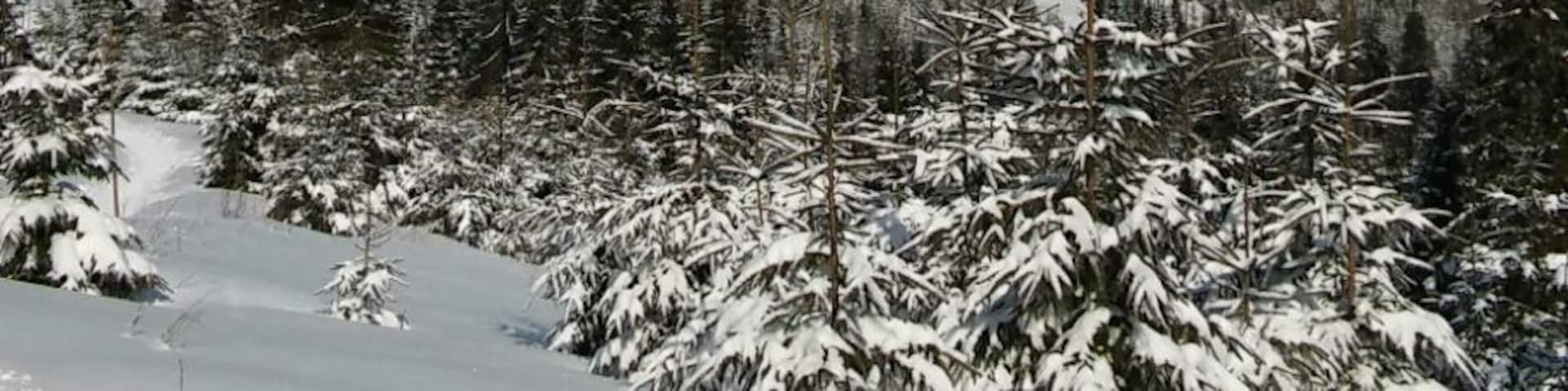 View on mountain Hala Romanka