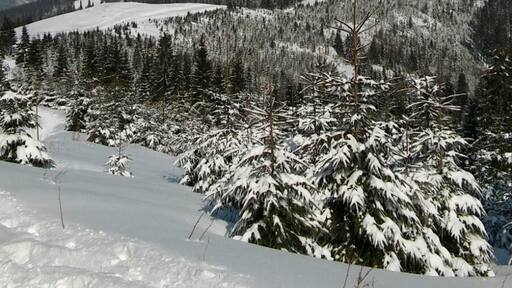 View on mountain Hala Romanka