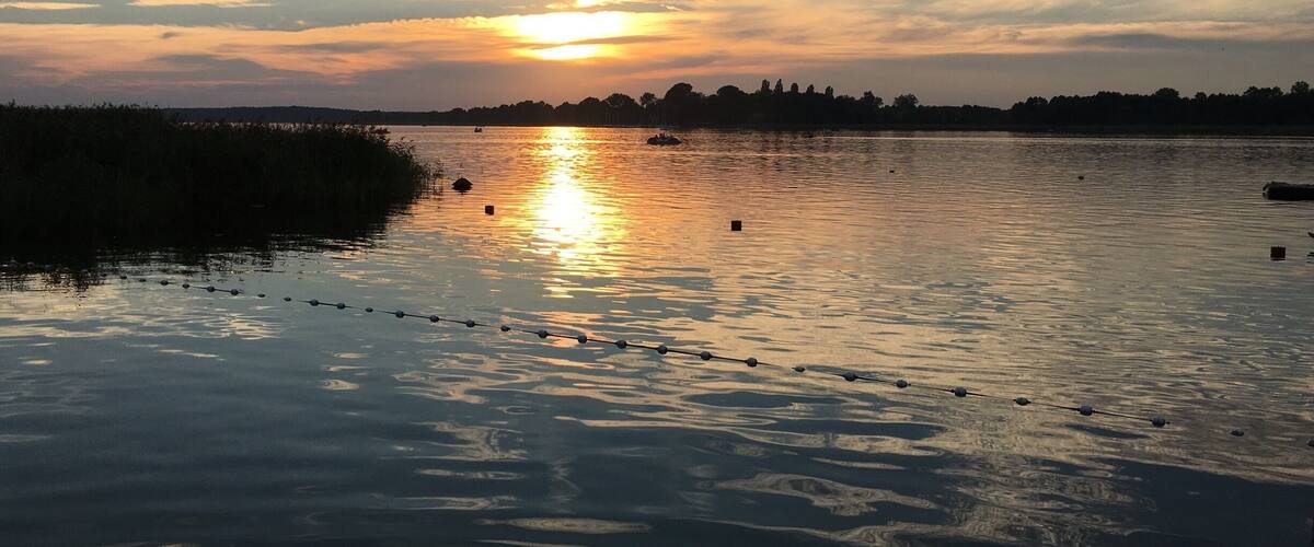 A sunset over a calm river with a line of trees in the background.