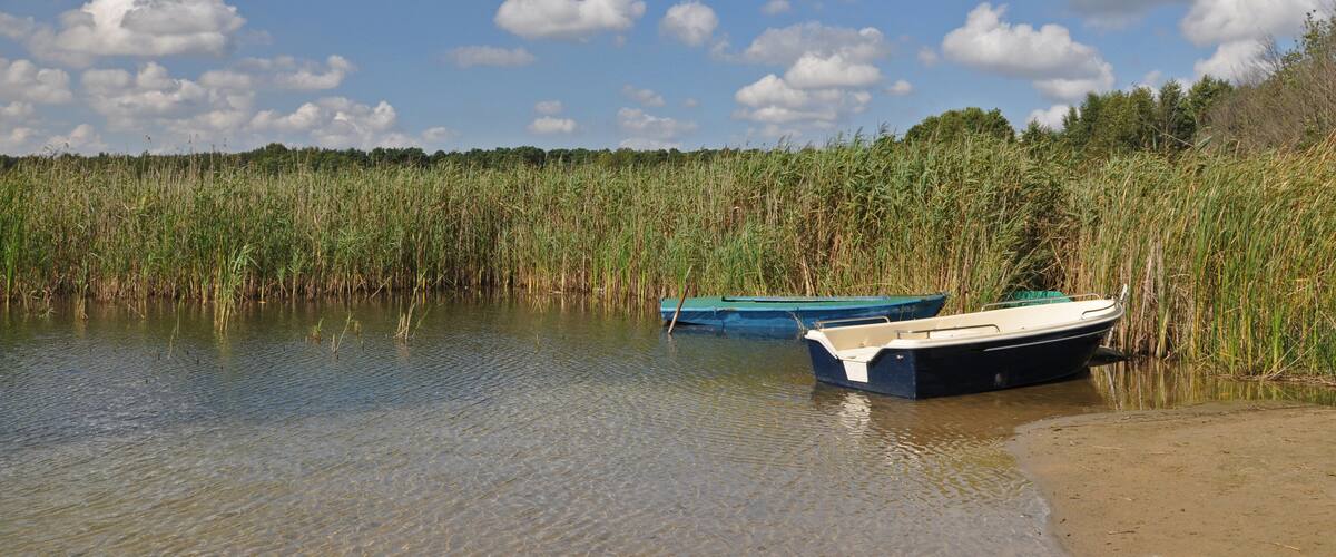 A calm river with two boats anchored near the shore, surrounded by dense reeds and a clear blue sky with scattered clouds.
