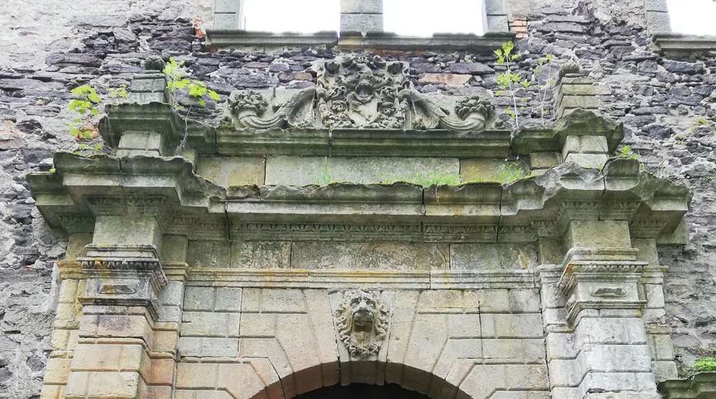 Gate of the castle Świny
