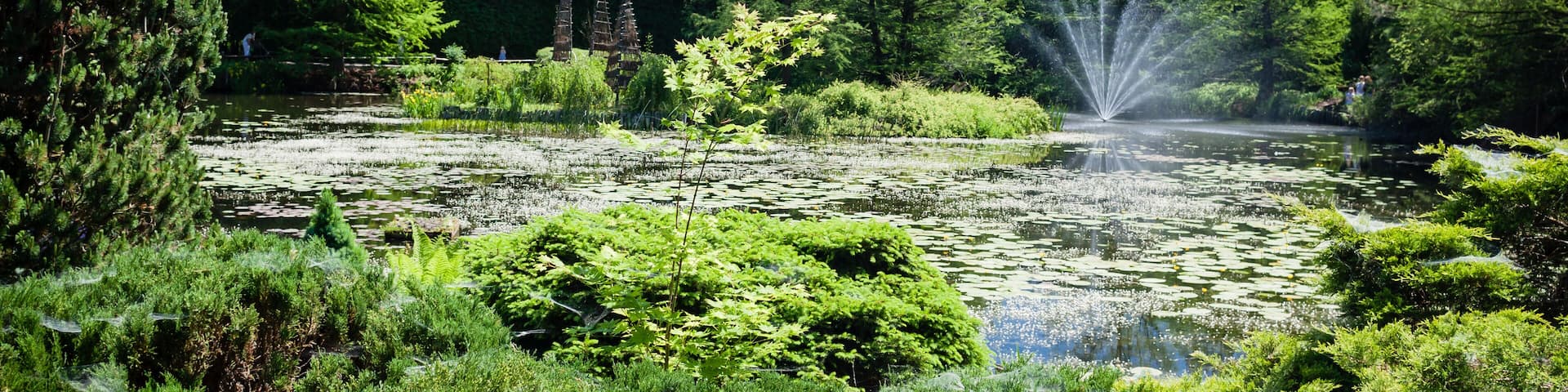 landscape of summer lake park with fintain; Shutterstock ID 144201577