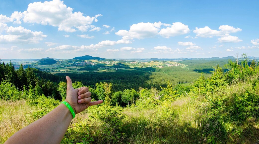 Można wjechać wyciągiem na dzikowcu , następnie idąc wzdłuż szczytu , natrafimy na odsłonięta przestrzeń z pięknym widokiem