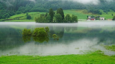 A serene lake surrounded by lush green hills and a small cluster of trees.