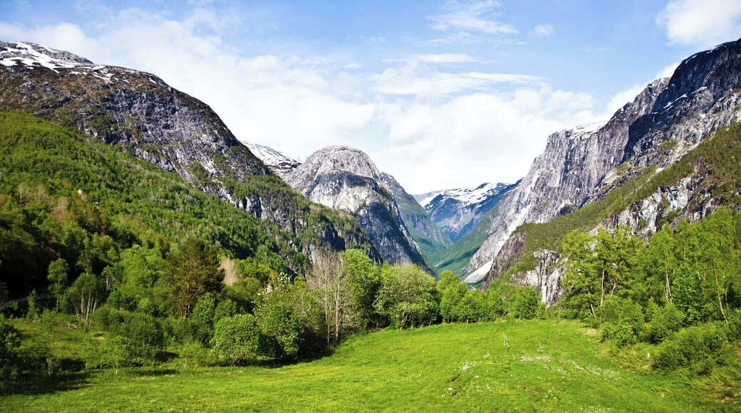 Some incredible scenery on a train/bus/fjord-cruise ride from Oslo to Bergen.
#Green #lifeatexpedia #GreatOutdoors #Nature