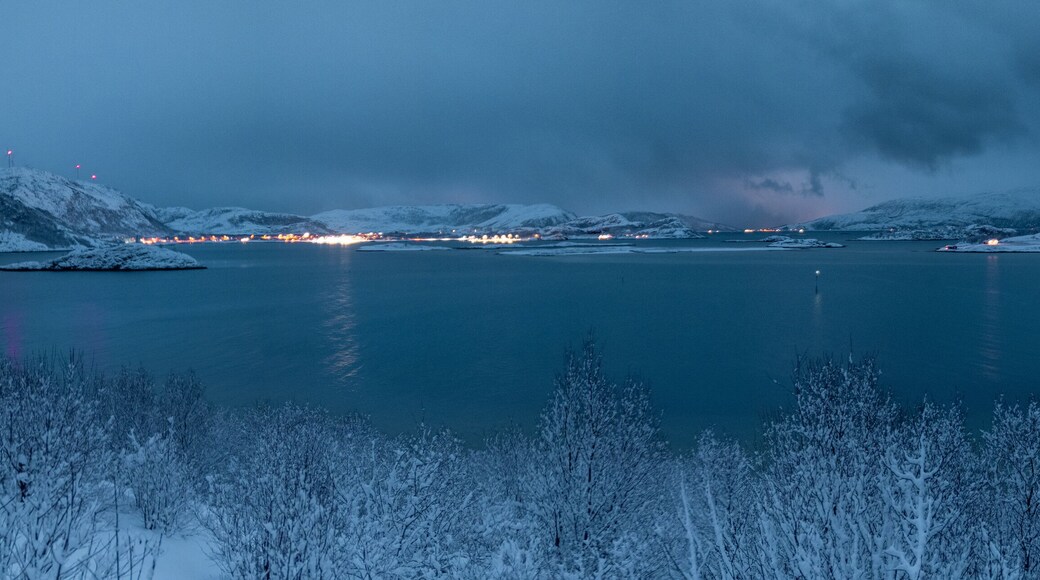 Beautiful island of Summary, Norway, in winter