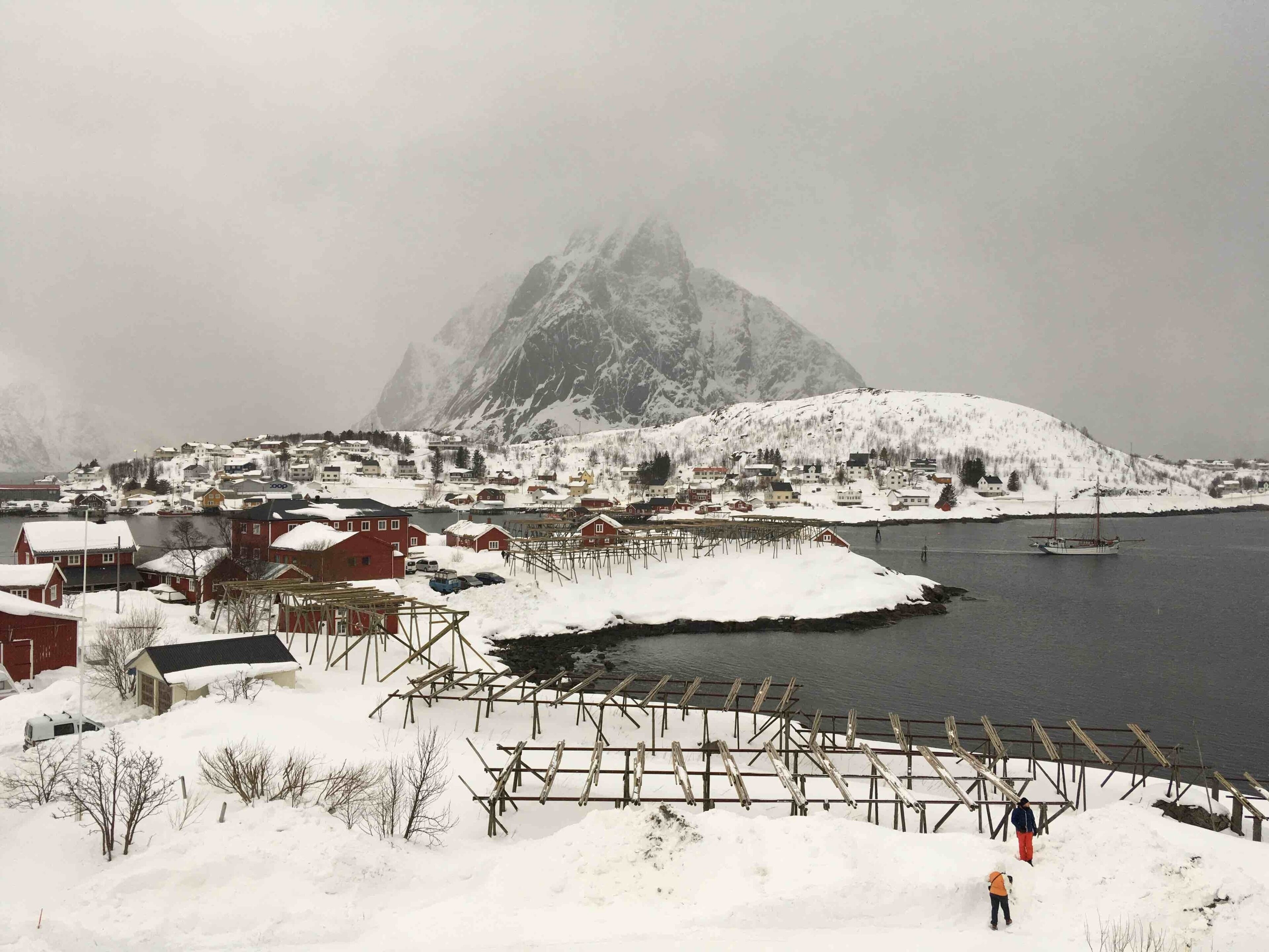 Monocrome winter 
#winter_lofoten #lofoten #catogarden