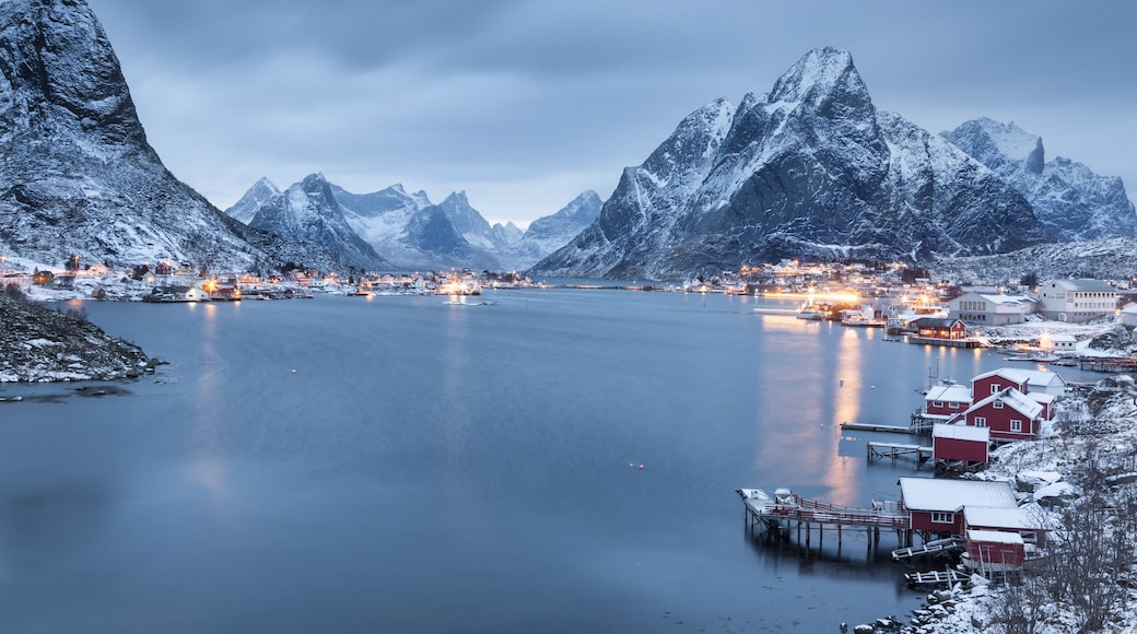 Reine