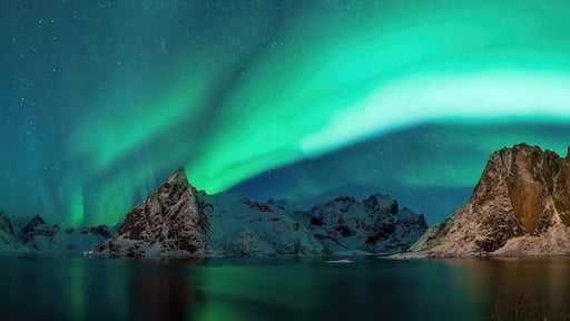 Reine