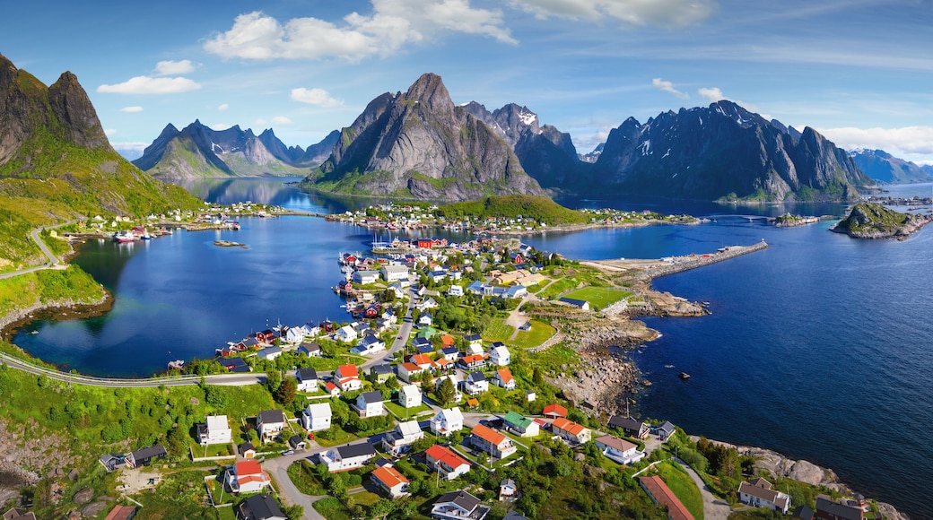 Reine