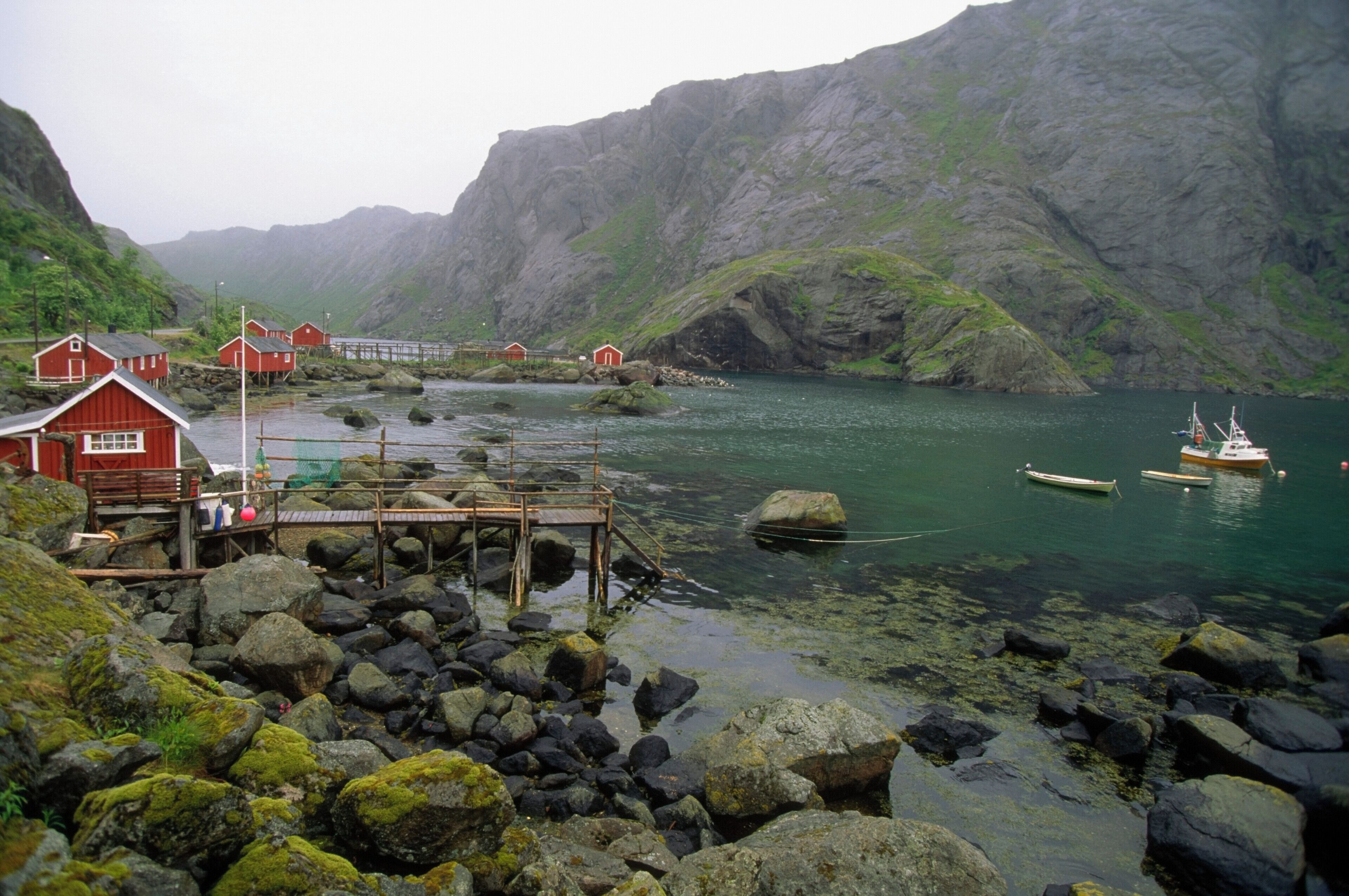Boats in water near a village, Nusfjord, Lofoten Islands, Norway