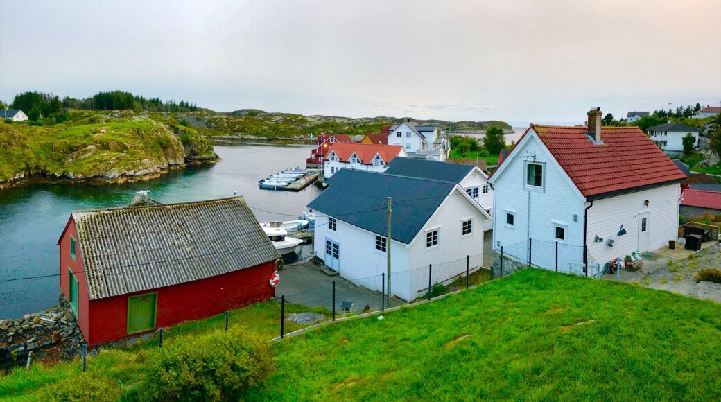 Fishing resort near Bergen. There is something special in Norway fishing - you always have grate view, fresh air and absolute calmness. You can find different fish
#Norway #Nautnes