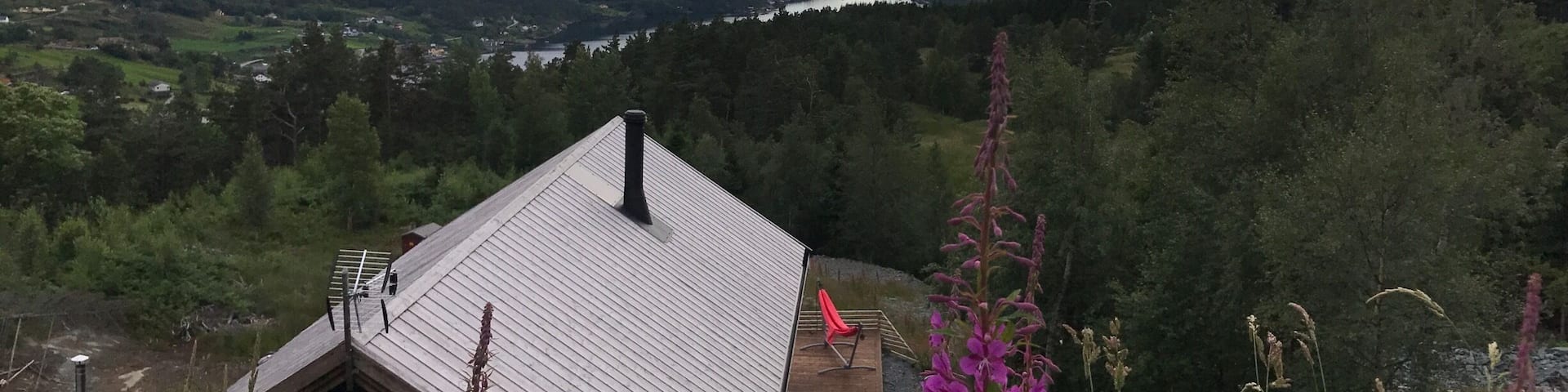 View from the deck😍