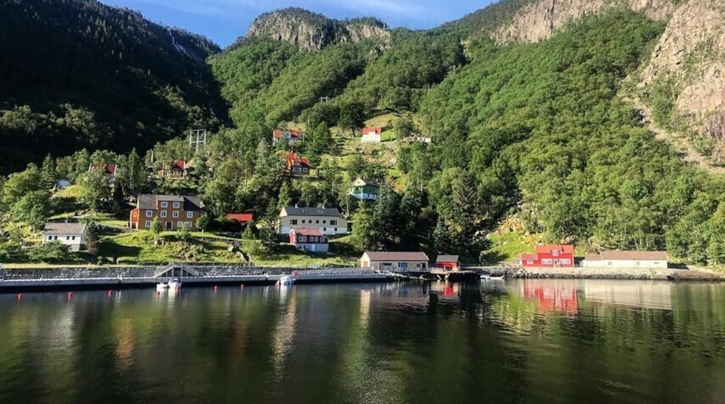 The perfect spot to camp. ⛺️