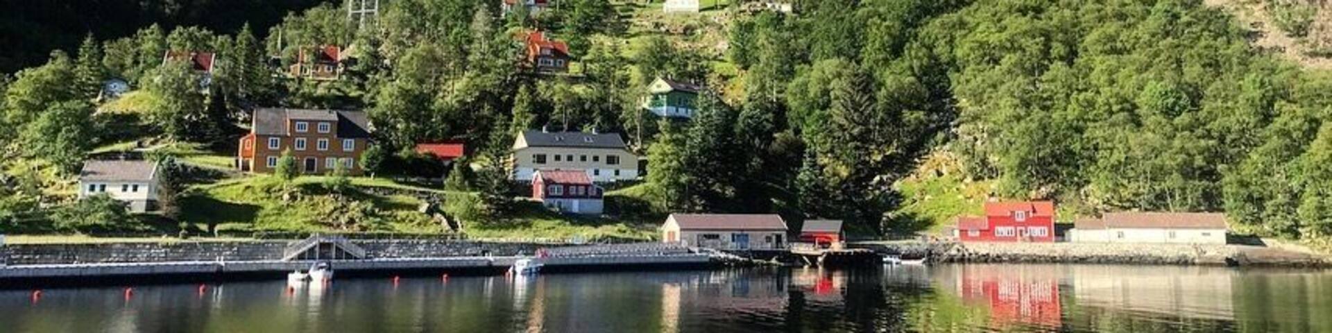 The perfect spot to camp. âșïž