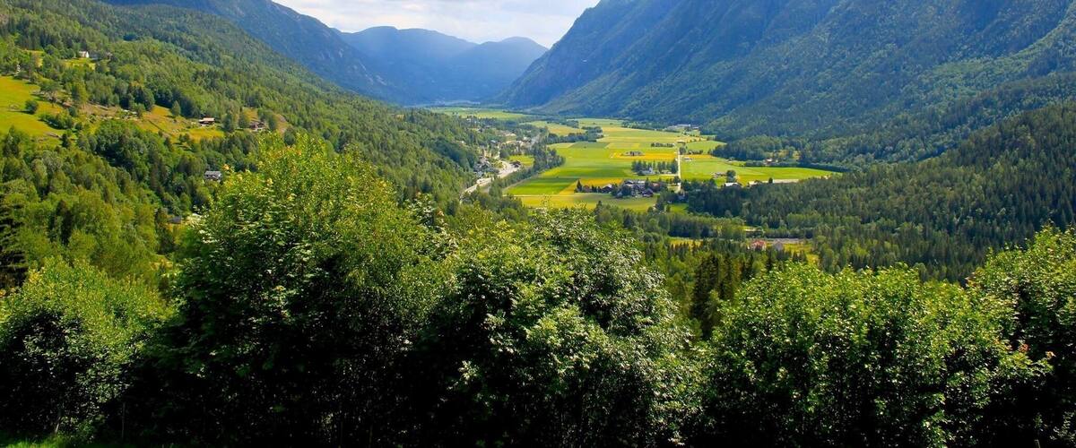 A valley with a river, surrounded by forested mountains and a few scattered buildings.