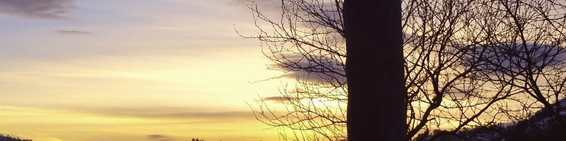 Winter sun on the ski trail at Kvæven.